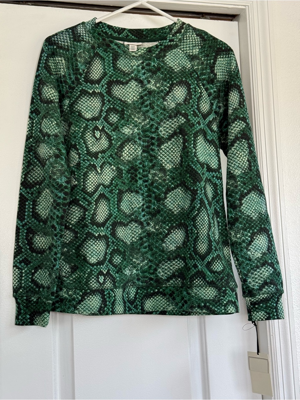 Altuzarra For Target Green Snake-Print Crewneck Sweater